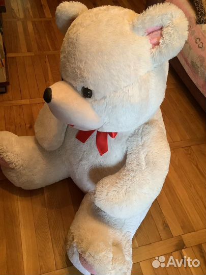 Большой белый медведь