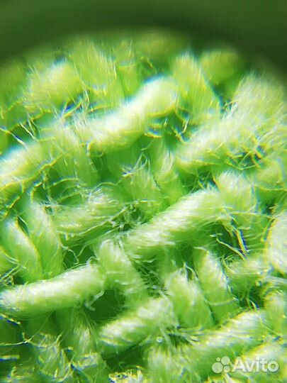 Микроскоп для смартфона