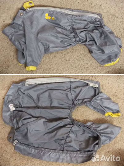 Вещи для небольшой собаки