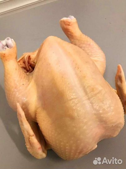 Молоко нубийских коз. Яйцо домашнее. Мясо бройлера