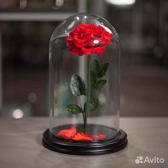 Роза в колбе