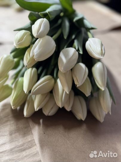 Тюльпаны к 8 марта оптом