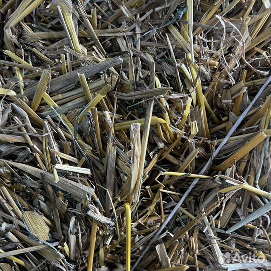 Солома овсяная в тюках