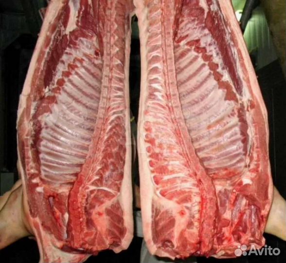 Мясо свинина домашняя