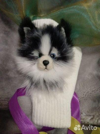 Звероварежки.Хасики