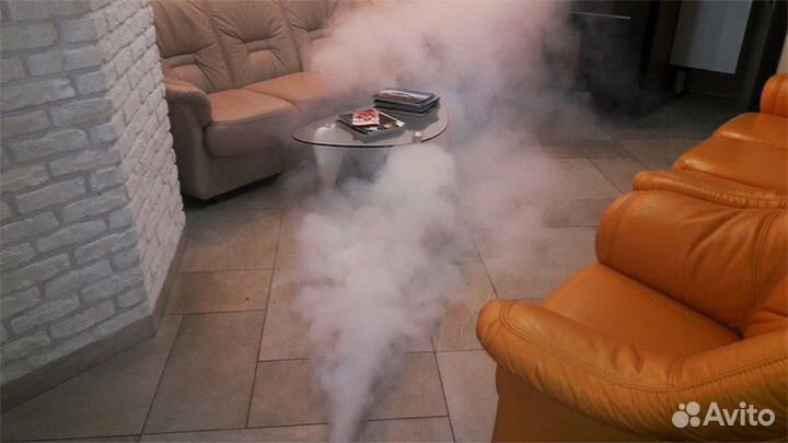 Обработка от тараканов клопов блох мух мокриц и др