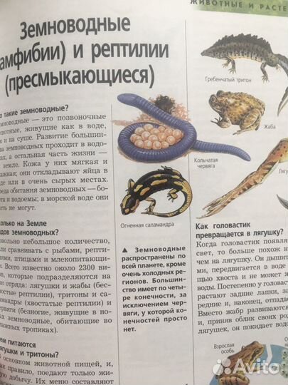 Энциклопедия