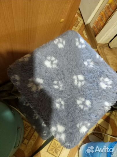 Когтеточка для кошек