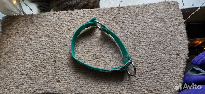 Ошейник и поводок для собак