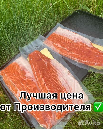 Филе лосося