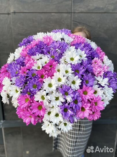 Хризантема (ромашки) цветы букет доставка