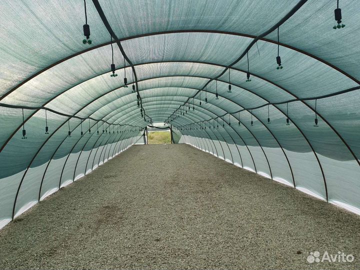 В наличии касетная Расада Клубники Априка,Антея