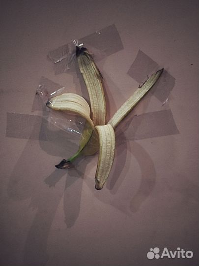 Концептуальное произведение искусства