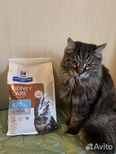 Корм для кошек renal и urinary