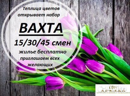 Рабочий в теплицу.Вахта для всех