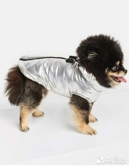 Жилет для собак