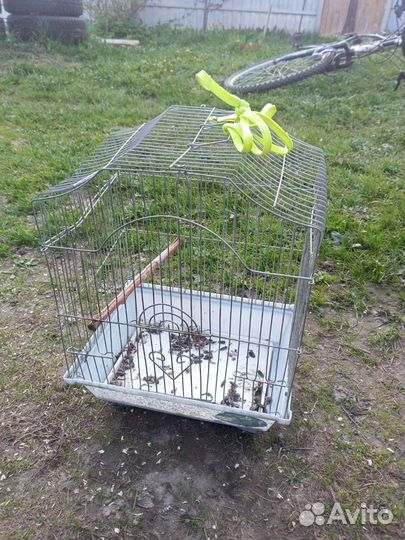 Клетка для птиц в наличии 5 штук