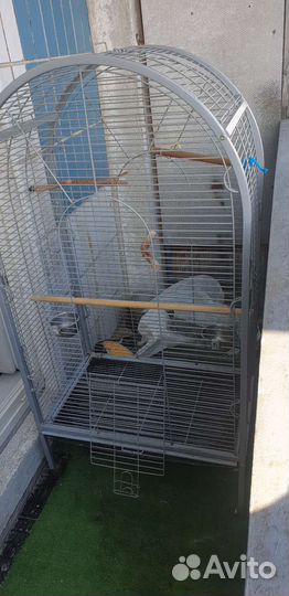 Клетка для птиц
