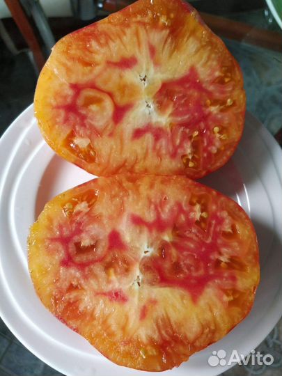 Семена коллекционных сортов томатов