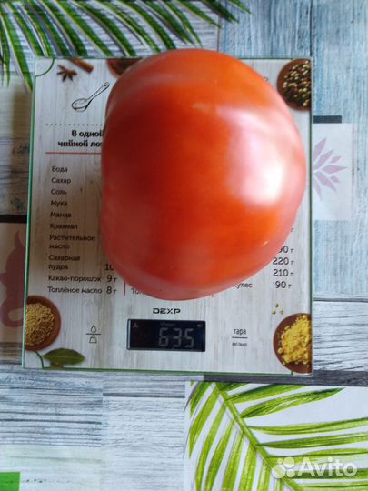 Семена помидоров томатов