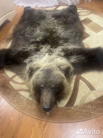 Шкура медведя имитация