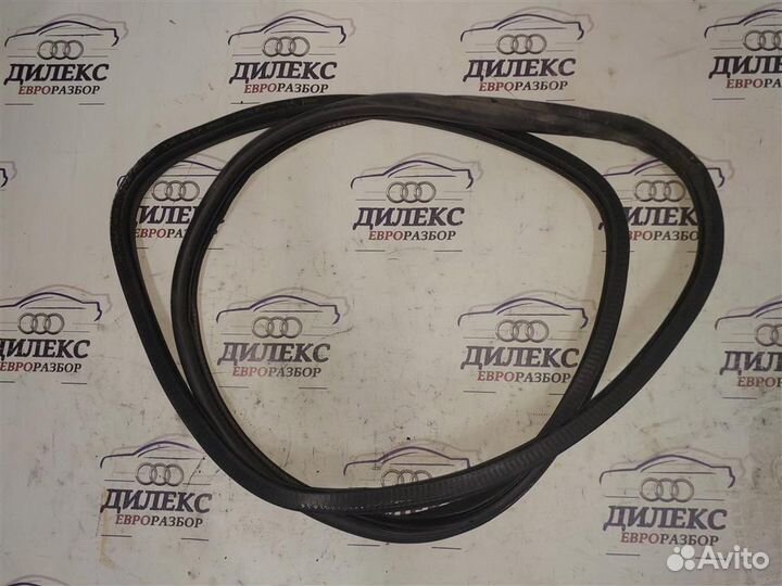Уплотнитель двери задней Audi A6 (C6 4F) 2004-2011