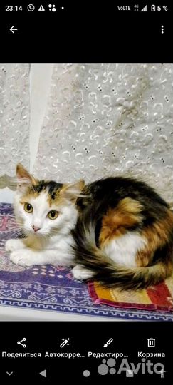 Малышка Полинка- Поля - Пошечка- Полюся 3,5мес