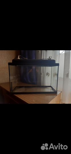 Аквариум бу