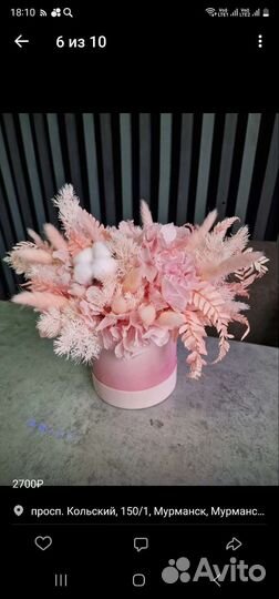 Сухоцветы цветы