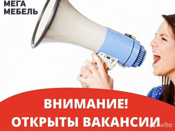 Продавец консультант