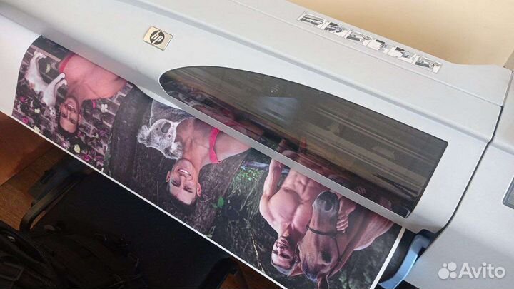 Плоттер HP designjet 510