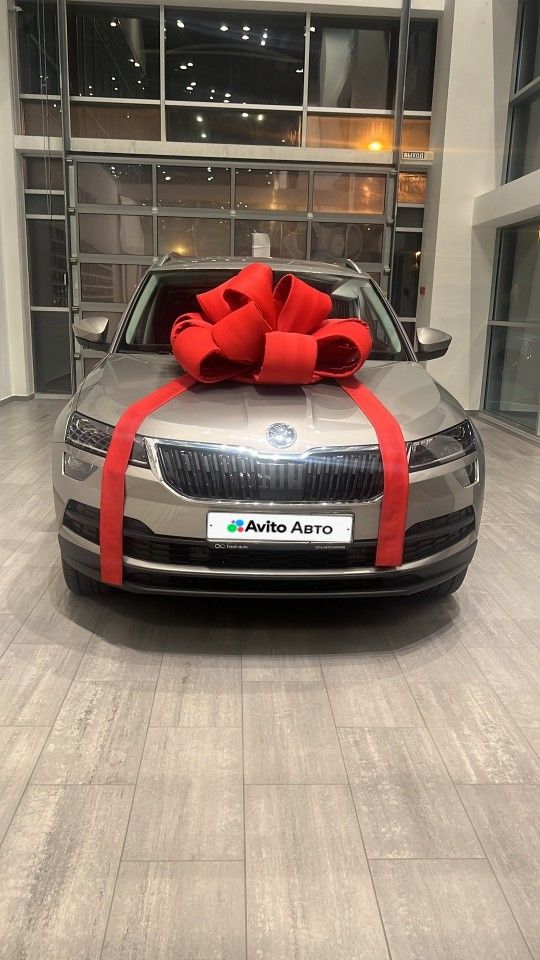 Skoda Karoq: фото владельца
