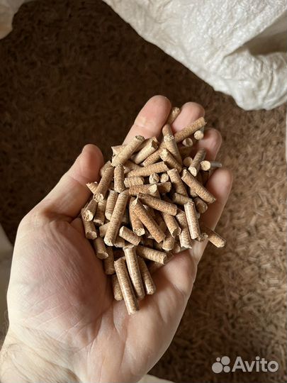 Наполнитель для кошачьего туалета