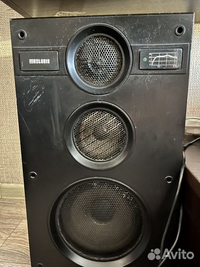 Калонки estonia