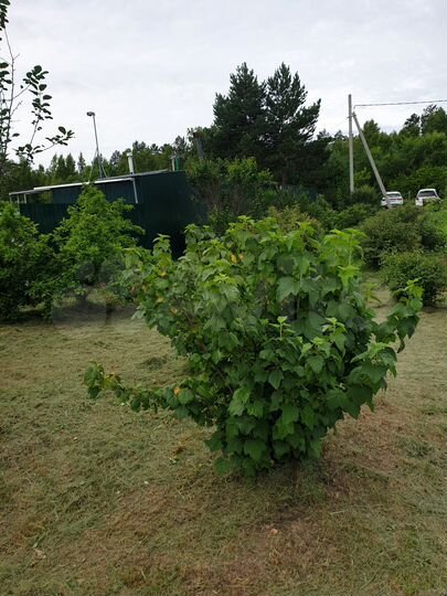 Дача 12 м² на участке 10 сот.