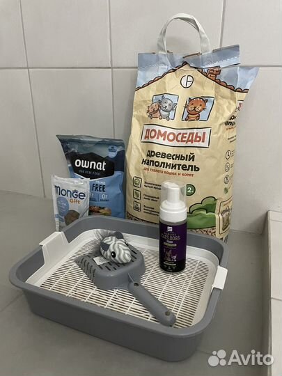 Донской сфинкс