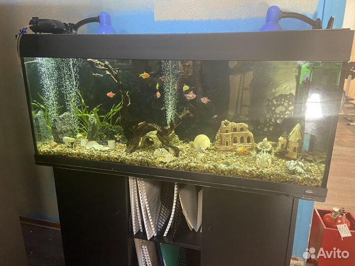 Аквариум 200 литров с тумбой