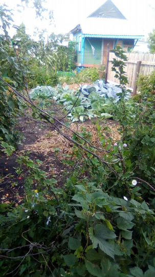 Дача 20 м² на участке 3,6 сот.