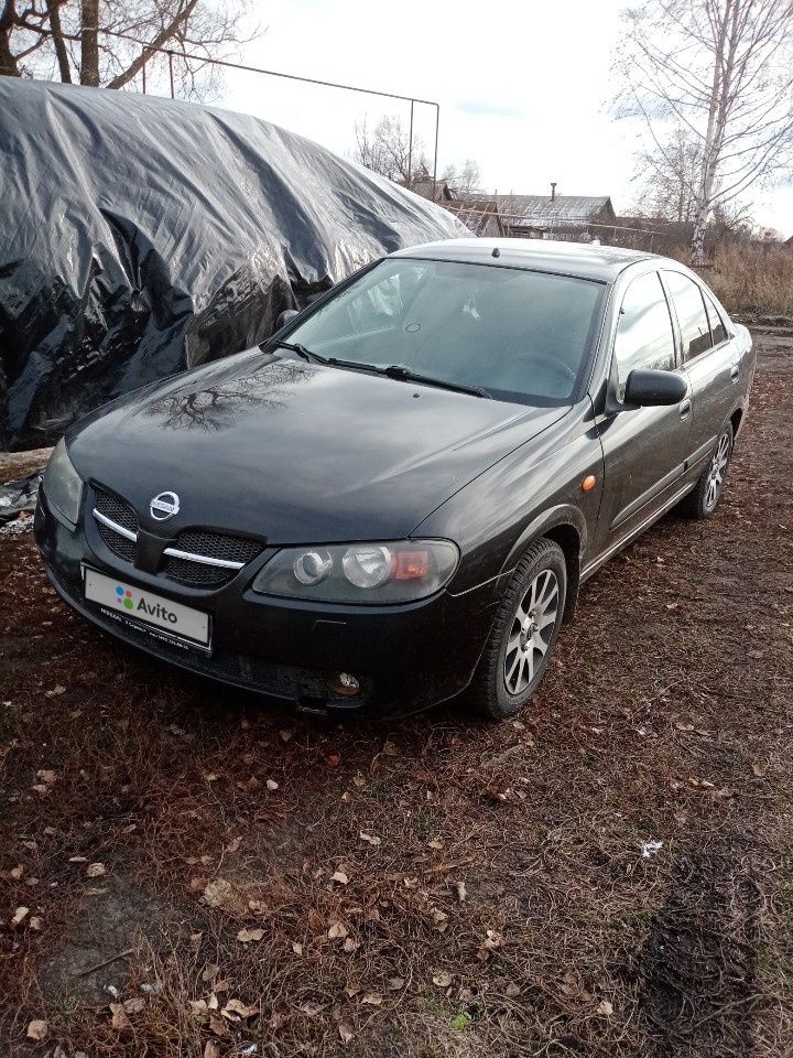 Nissan Almera: фото владельца