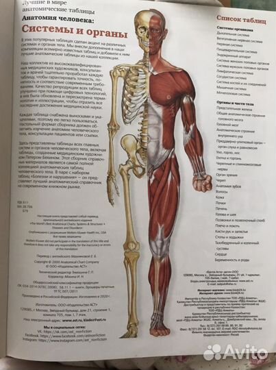 Большой атлас анатомии человека