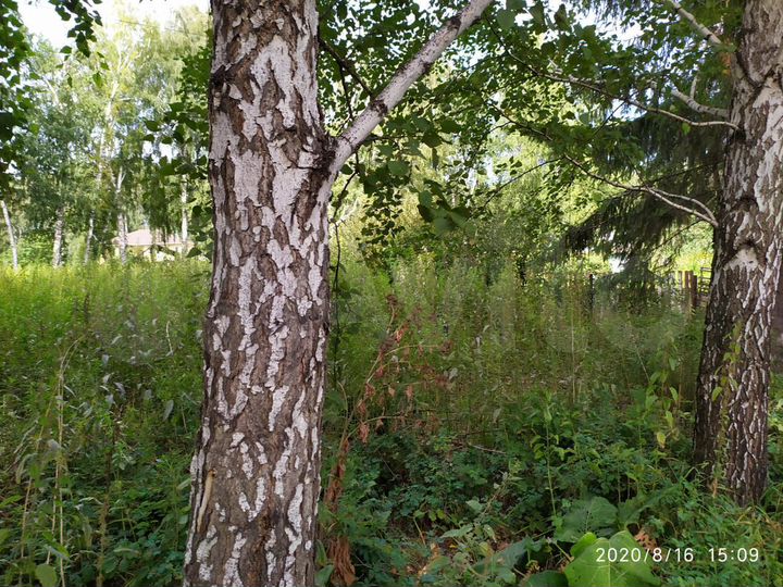 Дача 20 м² на участке 6 сот.