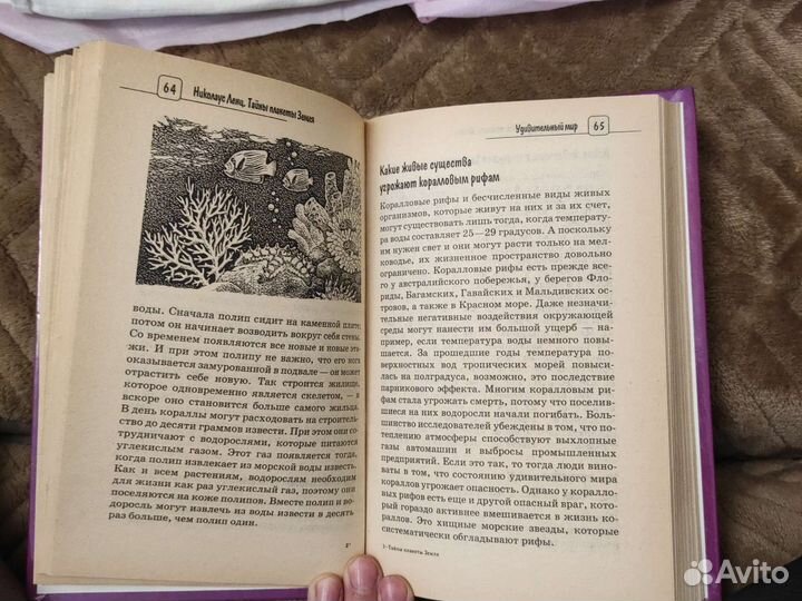Тайны планеты земля