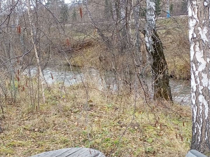 Участок 10 сот. (СНТ, ДНП)