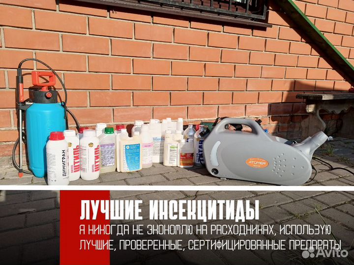 Уничтожение тараканов, уничтожение клопов, дезинсе