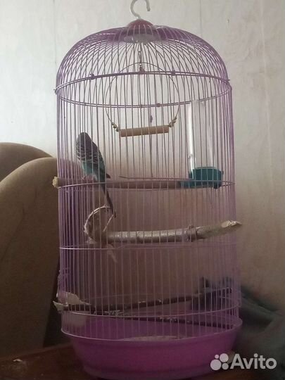 Клетка для попугая