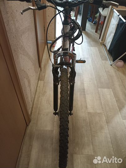 Горный Foxx blitz evo