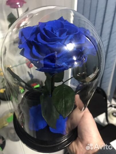 Синяя роза в колбе, подарок на день рождения