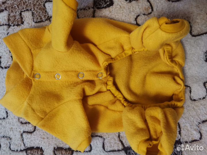 Вещи на маленькую собачку