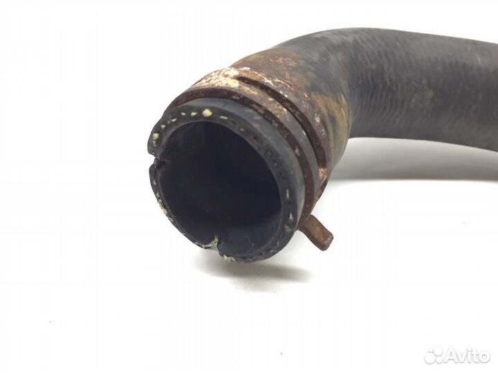 Патрубок радиатора Ford Focus 2 qqdb 2007