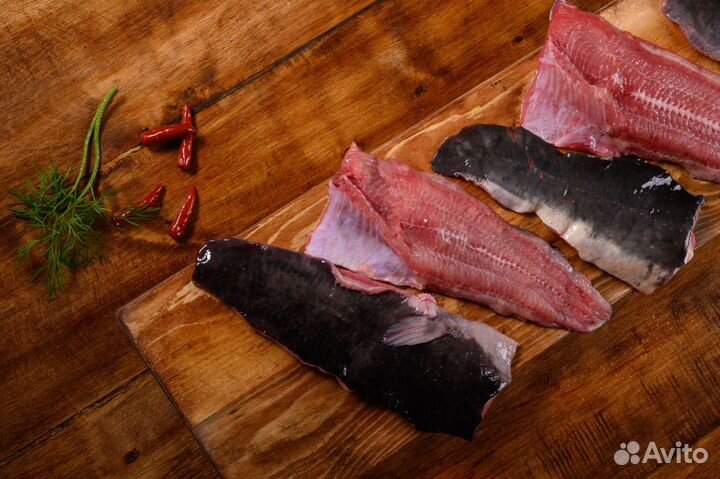 Африканский клариевый сом